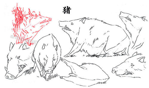 artbooksnat:  Princess Mononoke (もののけ姫) animation materials by character designer Masashi Ando (安藤雅司) in the Mononoke Hime Roman Album (Amazon US | JP) 