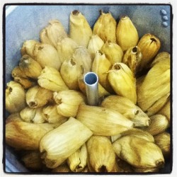 Mis tamales #tamales #comida #candelaria