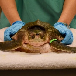 neaq:  Thankful for our rescue team staff,