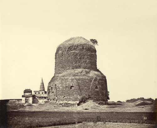 Felice Beato &amp; Henry Hering, Dhamek Stupa, India, ca. 1860