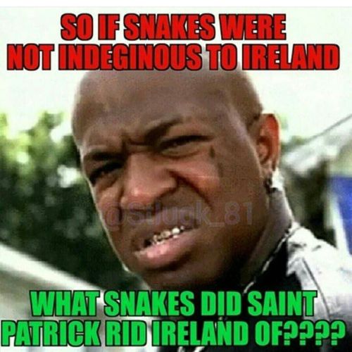 gangster-computer-kebab:images-of-black-unity:Pt.2 Ramember, Ireland hasn’t had snakes since before 