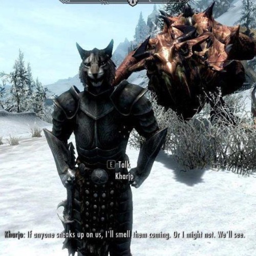 fang107:  kisaaoi:  Uhm. #skyrim #games  And they say humans have terrible senses.. 