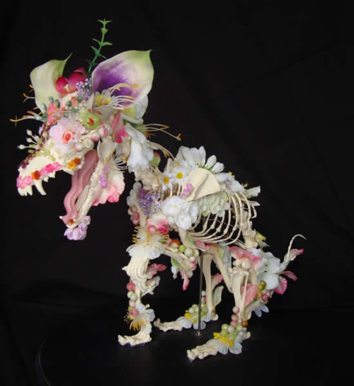 deermary:  Cedric Laquieze’s art pieces using flowers on articulated skeletons 