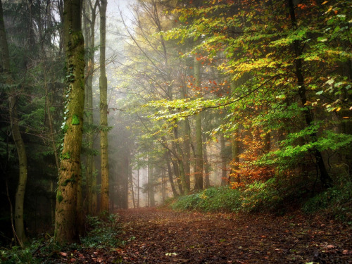 darkface:FamiliarPaths (by BphotoR)