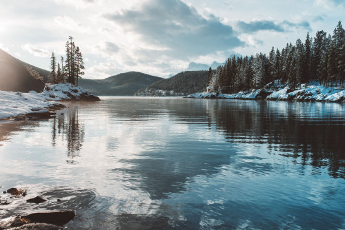 teapalm:  (Tasha Marie) | Banff National Park, Alberta