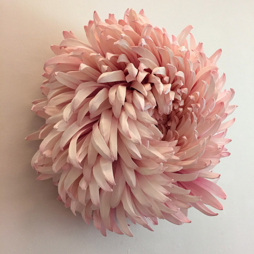 Porn whatjanesaw:  Tiffanie Turner’s paper flowers photos