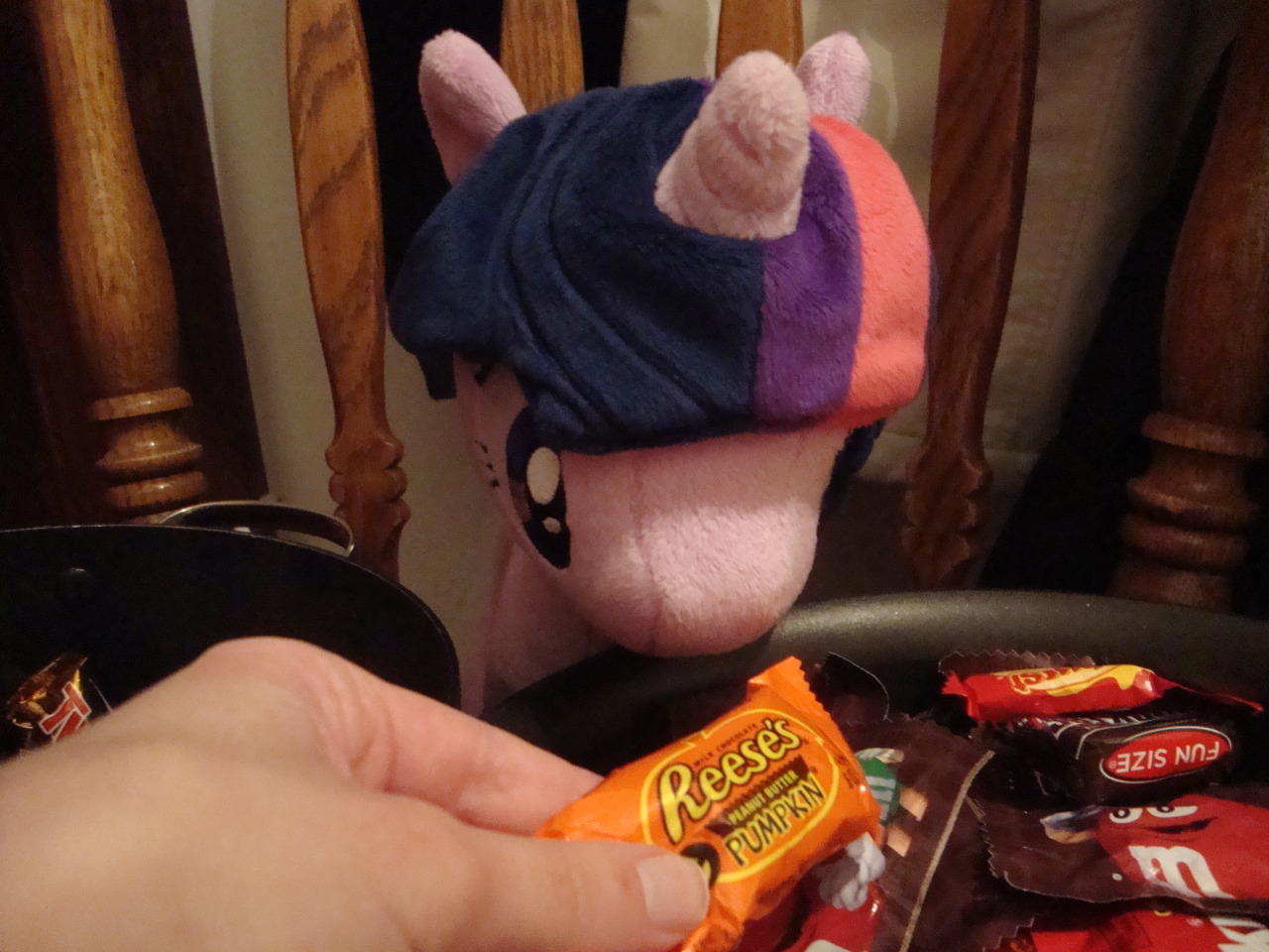 slice-of-life-twilight:  Dee: Well, that’s it, Twilight. Trick-or-treat hours are