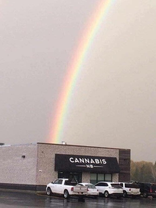 They finally found it! The pot at the end of the rainbow!