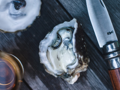 themountainourmother: Oysters &amp; Whiskey