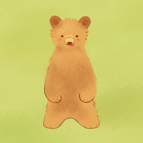 goofy looking bear