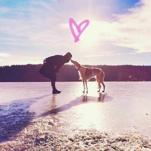 We wish you all a lot of kisses! #koira #borzoi #sighthound #russianwolfhound #dogkisses #bestwoof #