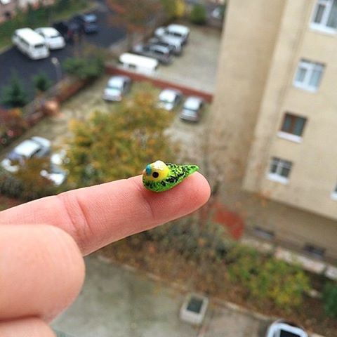 yummykupe:  #tbt minik kuş #miniature #fingerart #polimerkil #fimotürkiye #polymerclay #budgeri