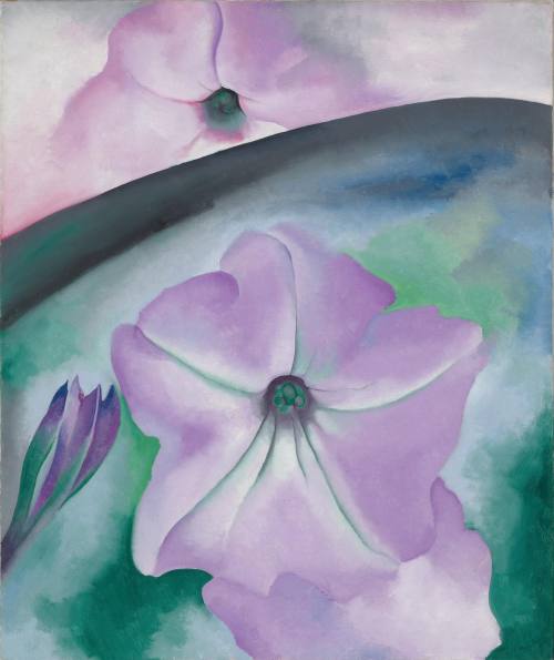  Georgia O'Keeffe. Petunia No. 2, 1924. Oil on canvas, 36 1/16 x 30 1/8 inches. Georgia O'Keeffe Mus