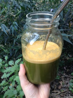 Here is my green juice that took me an hour to make and about a second to drink