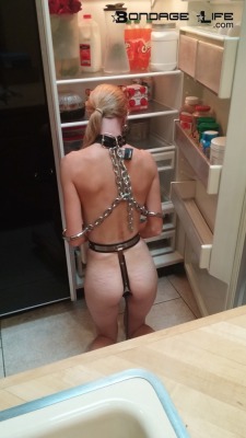 knottypunishments:  30k+ Posts . 15k+ Followers [ KnottyPunishments // Brutal BDSM Vids]