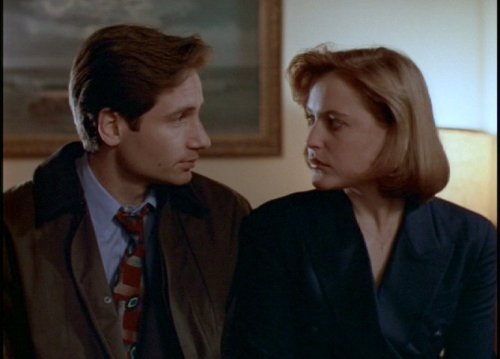 discombobulateddavidduchovny:  The X Files porn pictures