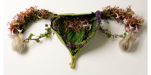 fer1972:  Human Organs made from Plants and Flowers by Camila Carlow  