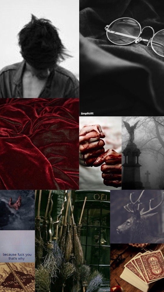 James Potter