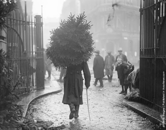 A soldier carrying a christmas tree, December 1915.
Photo by Topical Press Agency/Getty Images