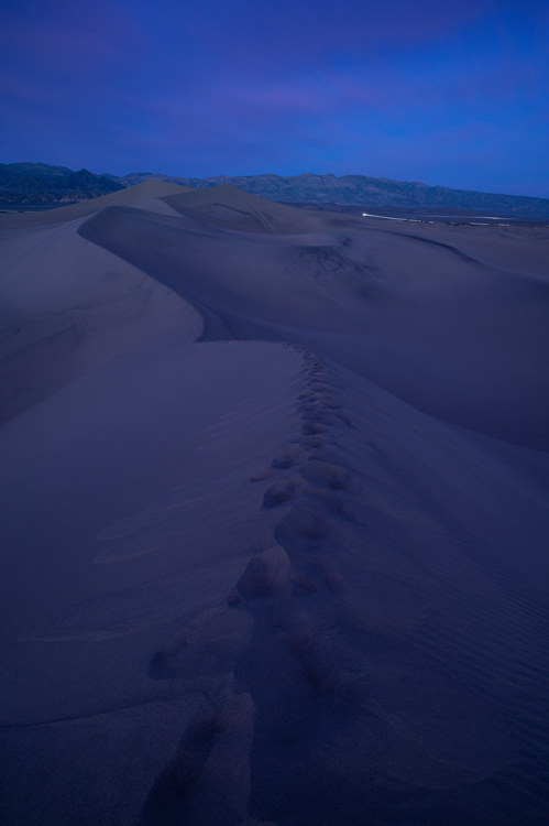 Blue Hour in the Dunes Mesquite Flat Sand Dunes, Death Valley National Park