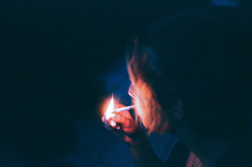 cvxa:  vintage / nature / photography blog 