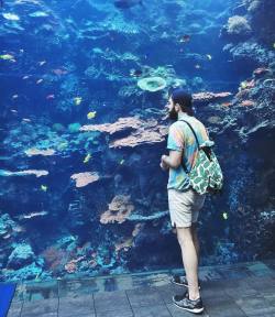 strike-me-down-with-lightning:  #Jesse #aquarium #georgiaaquarium #atlanta #husband #married #couple #gay #gayboy #gaycub #gayguy #gayhusband #gayfollow #gaystagram #beard #bearded #gaybearded #instagood