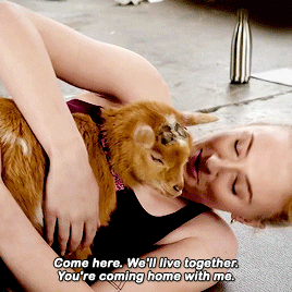 rubyredwisp:Sophie Turner tries Goat Yoga | Vogue WellnessLucy, the baby goat just a month old, she 