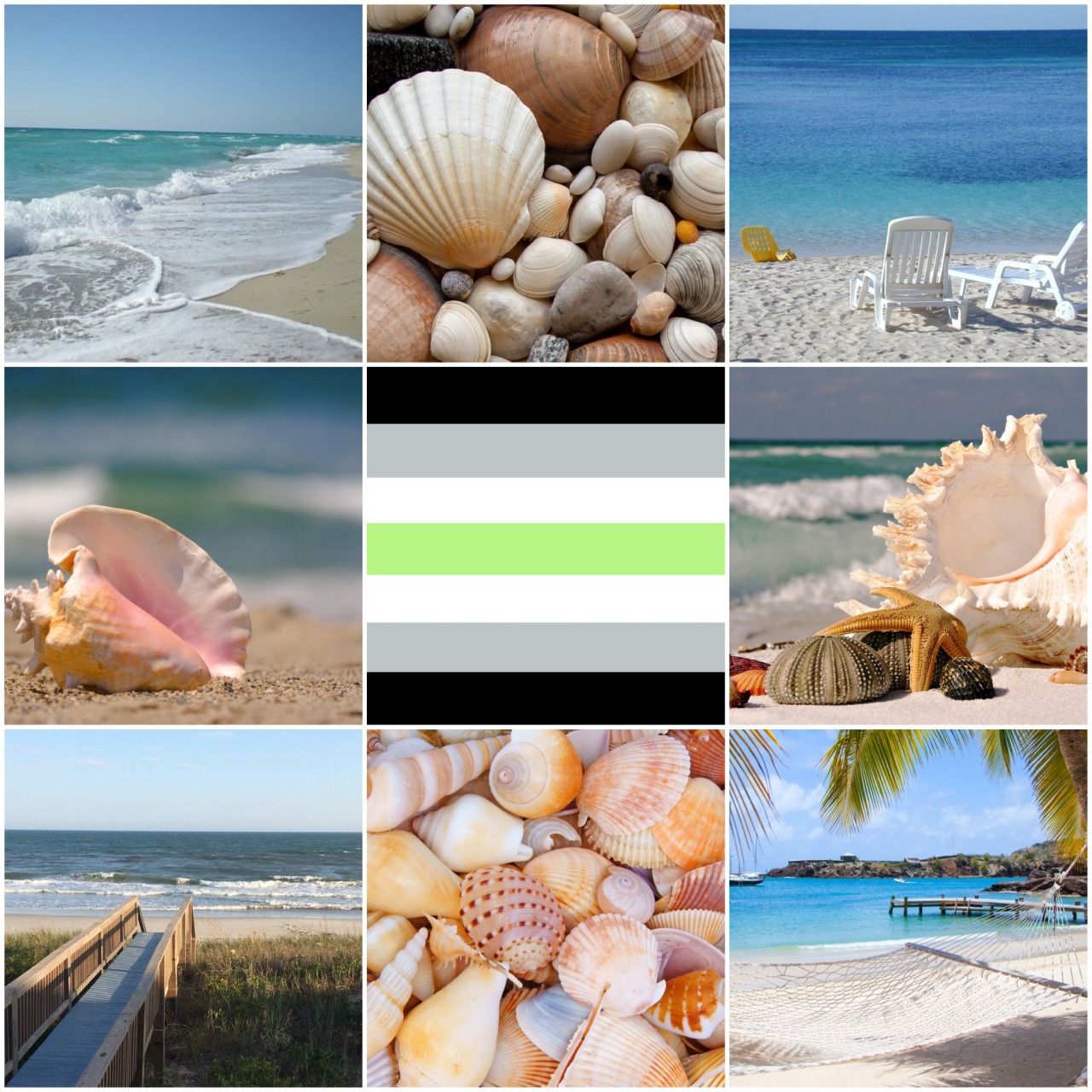 Beach Aesthetic Guide ~ for a BEACH VIBE! [02/21] – Seashell Madness