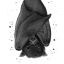 batkin028