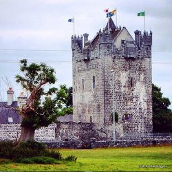 irisharchaeology:    The recently restored Claregalway Castle, Ireland. Once home to Clanricarde De Burgo (Burke) family, it most likely dates from the late 15th or early 16th century.  Irish Archaeology 