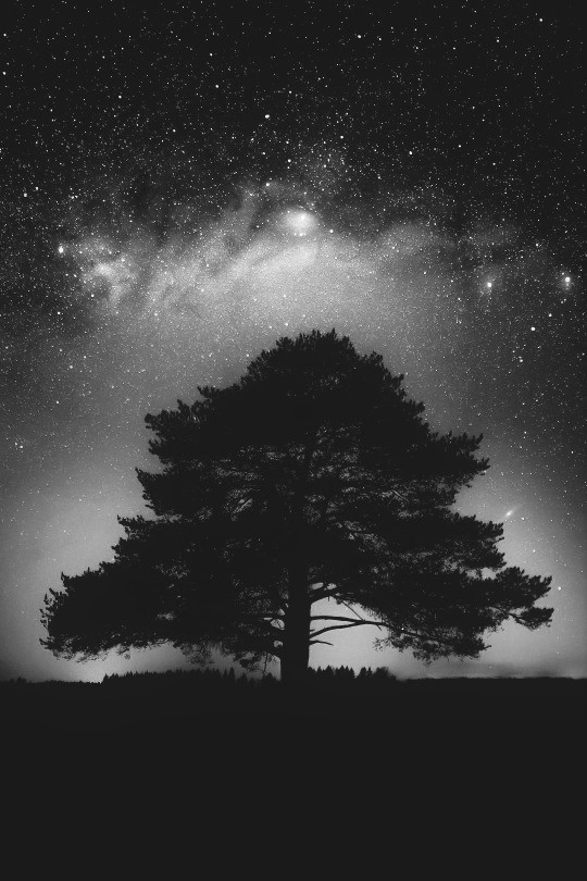 did-you-just-touch-my-butt: Nanite ❤ And it’s in the stars that I see the beautiful
