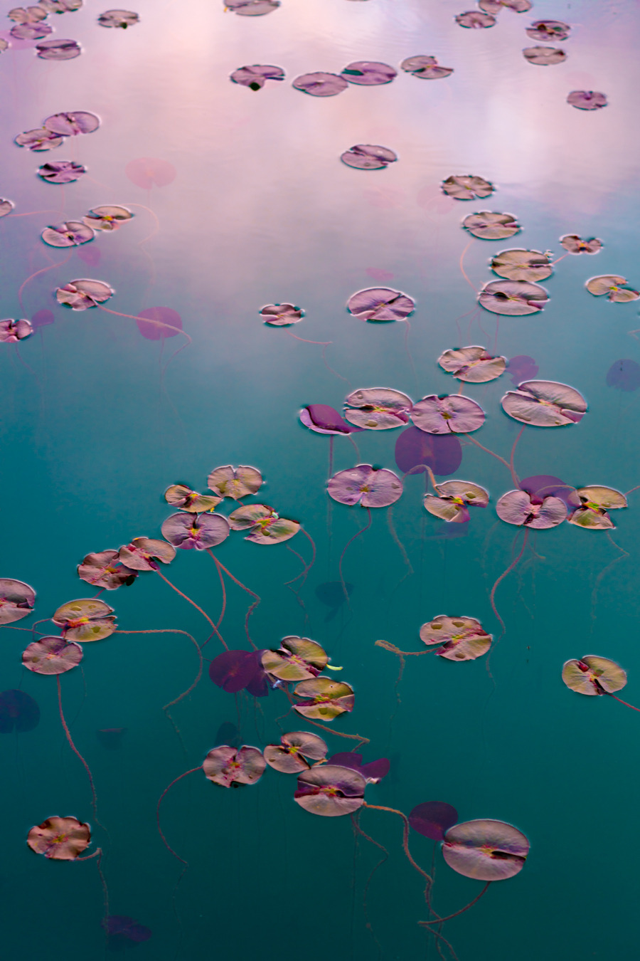 milamai:  Eventually, my eyes were opened, and I really understood nature. I learned