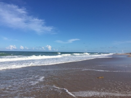 mister-moscato:Since Florida doesn’t want to participate in Fall, I spent a nice day at the beach to