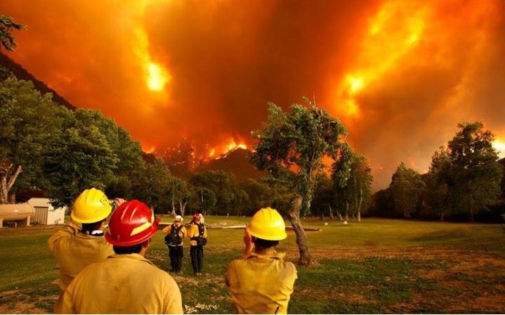 Chubut. Las llamas del incendio forestal desatado el último domingo en la zona de Cerro Negro y que ya arrasaron más de 4500 hectáreas de bosque nativo continúan avanzando a pesar de los esfuerzos locales por extinguirlo. (Telam)