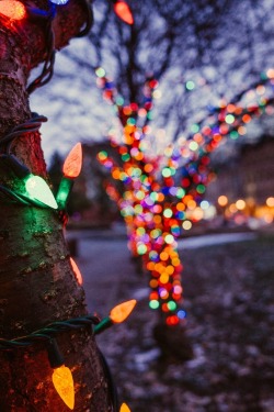 senpais:  Santosh Guttal, Holiday Lights