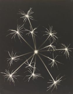 daimesonhosparabrincar:  Fireworks, Josef Breitenbach, late 1930s 