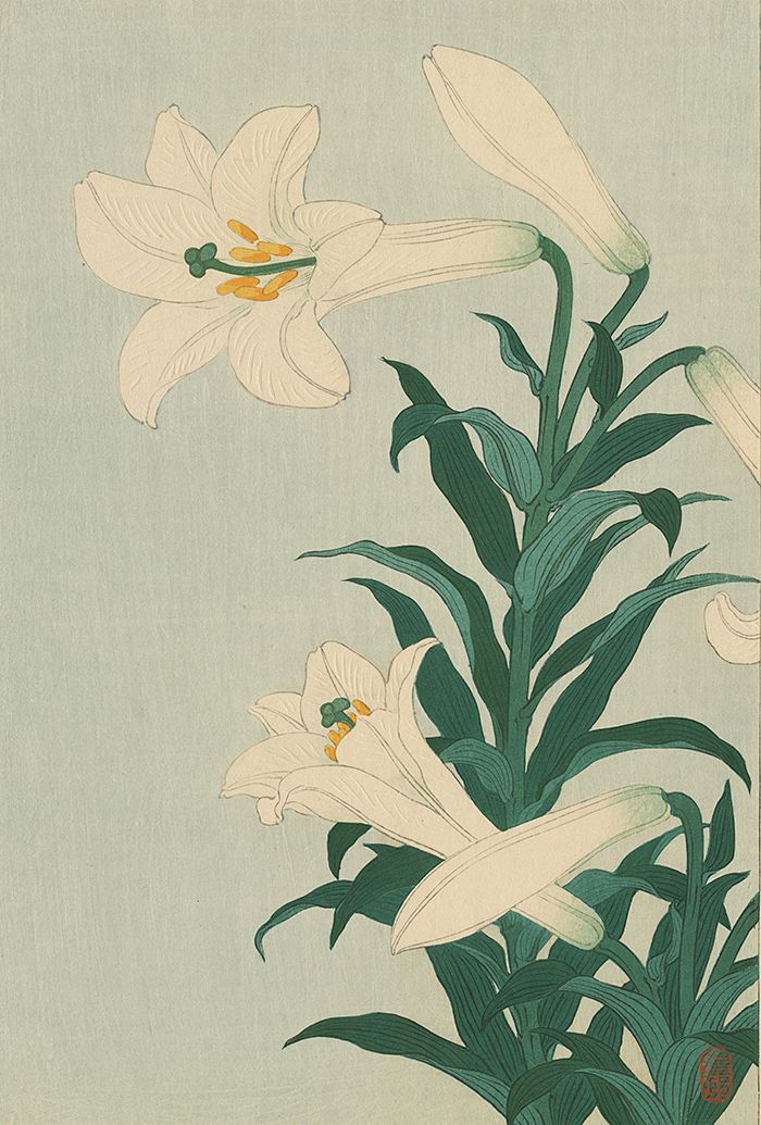 hoodoothatvoodoo:  Ohara Koson &lsquo;White Lily&rsquo; 