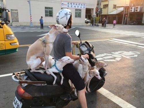 tastefullyoffensive:  (via alexqarbuckle)