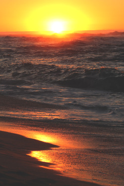 wavemotions:  Hawaiian sunset