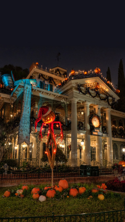 why-am-i-not-in-disneyland: Disneyland Lockscreens- Haunted Mansion Holiday Edition Feel free to us