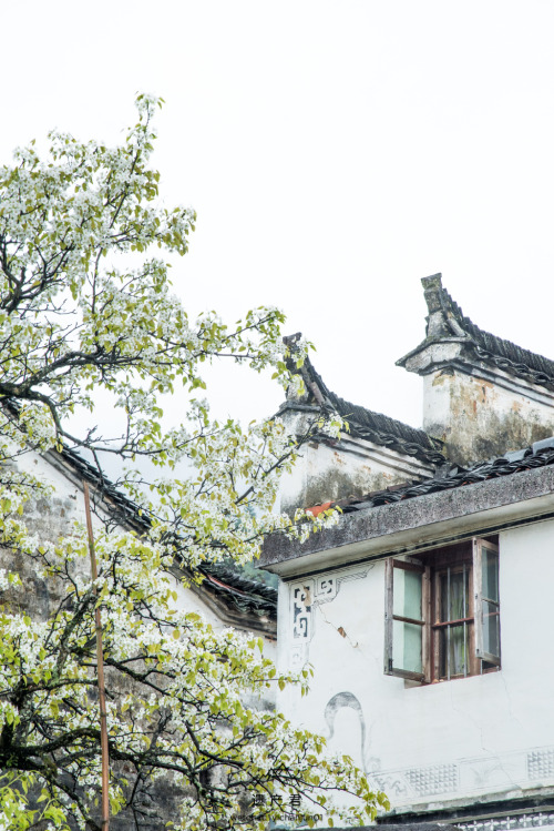 fuckyeahchinesegarden:婺源wuyuan, anhui province by 遗产君