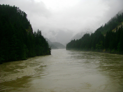 Fraser River, Fraser Canyon by Dru! on Flickr.
