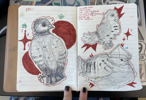 . Birbs
