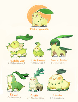 kotnavy:  too-much-green:  I finally gave in and did one of those cool pokemon variations going around \o/ I picked Chikorita (my radish baby) for mine and it’s based on different parents, mainly the father! I’ve always liked the idea that when breeding