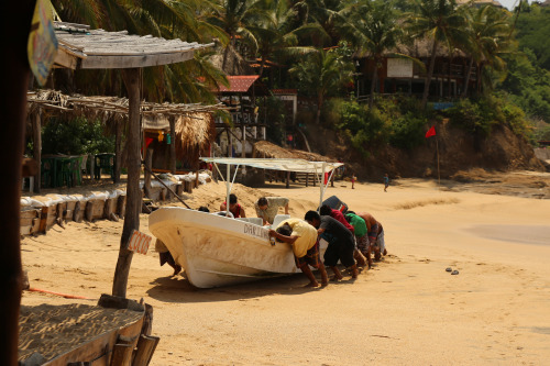 roundmexico:  On the beaches of the Oaxaca coast.