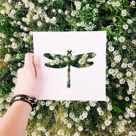 taichi-kungfu-online:  Art is from life! 