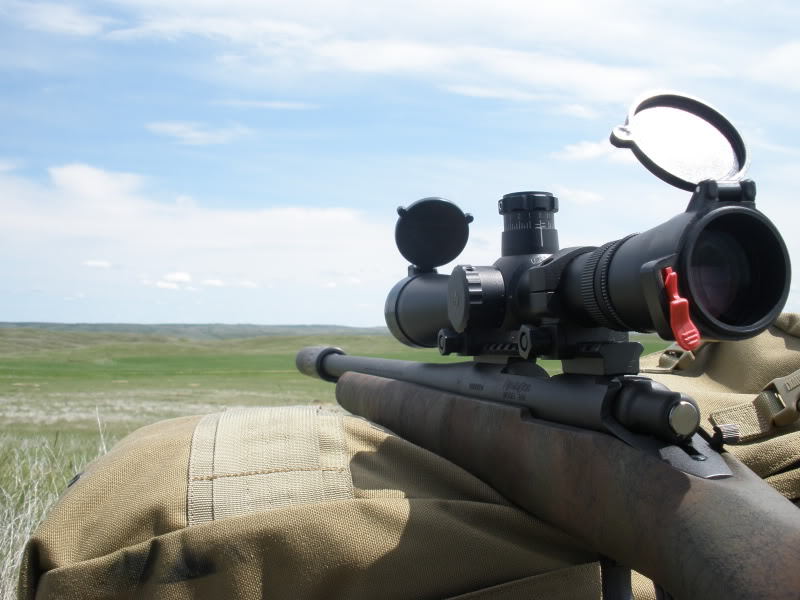 justremington:  Remington 700 SPS + AAC M4-2000 + Leupold 3.5-10x40 