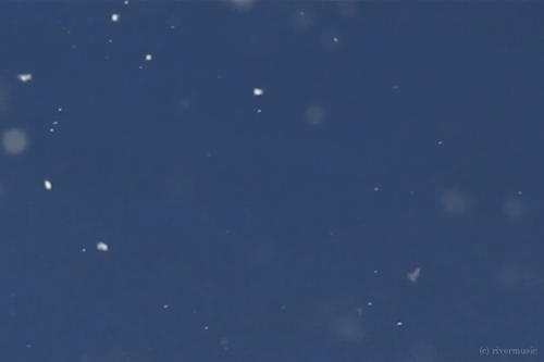 fbadc442e818cdd1c1533150a8ab9be0c0b55e76.gifv