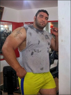woofproject:  doublesex1:  Persian burly