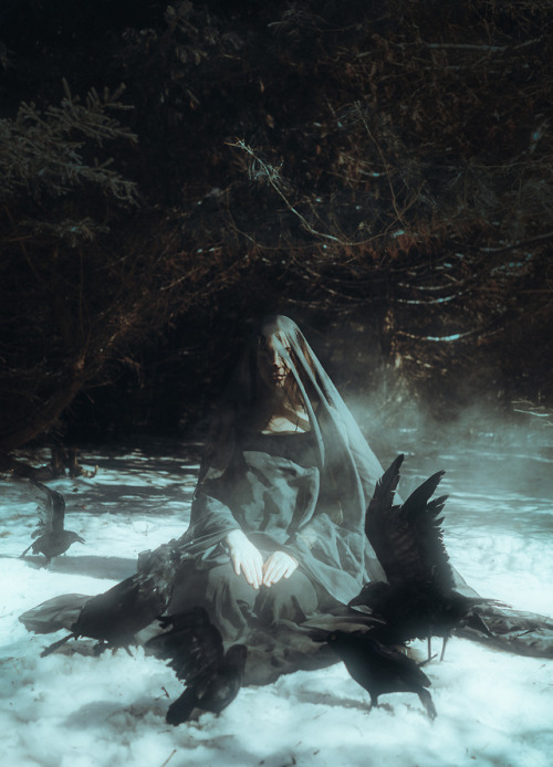 crystalleelucas: For Only Death is in Eternal Bloom ll / 2018 